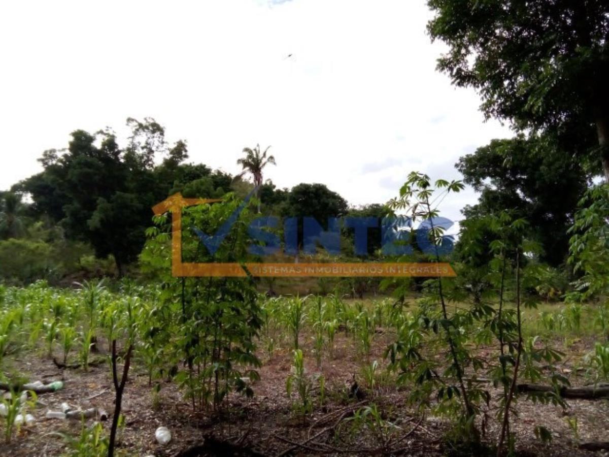 Terreno en venta en Pital Mozutla, Papantla — foto 1 de 8