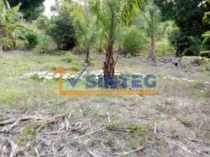 Terreno en venta en Pital Mozutla, Papantla — foto 3 de 8