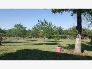 Terreno en venta en Los Fresnos, Montemorelos — foto 2 de 8