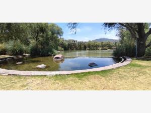 Terreno en venta en El Vegil, Huimilpan, Querétaro Terreno en venta en El Vegil, Huimilpan, Querétaro