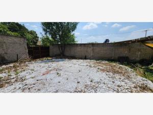 Terreno en venta en San Martin de las Flores de Arriba, San Pedro Tlaquepaque — foto 2 de 9