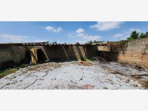 Terreno en venta en San Martin de las Flores de Arriba, San Pedro Tlaquepaque — foto 3 de 9