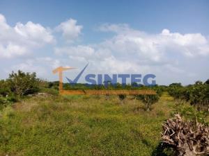 Terreno en venta en Frijolillo, Tuxpan — foto 2 de 6