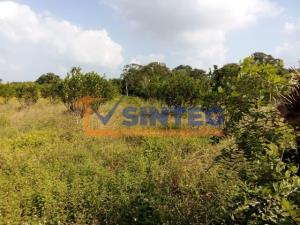 Terreno en venta en Frijolillo, Tuxpan — foto 3 de 6