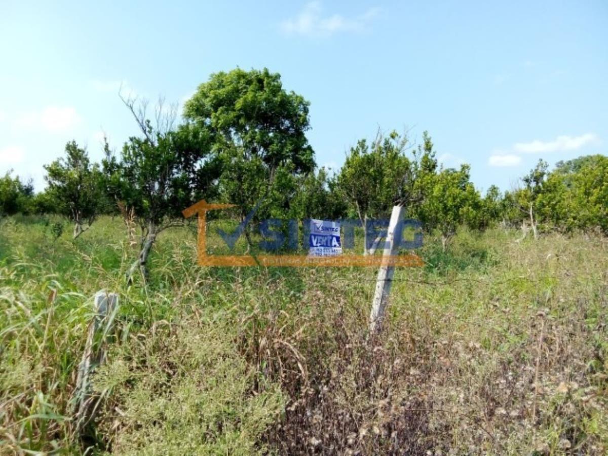 Terreno en venta en Frijolillo, Tuxpan — foto 1 de 8
