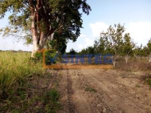 Terreno en venta en Frijolillo, Tuxpan — foto 2 de 8