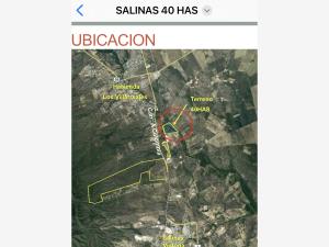 Terreno en venta en Salinas, Salinas Victoria — foto 3 de 3