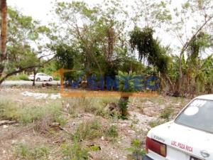 Terreno en renta en La Floresta, Poza Rica de Hidalgo — foto 2 de 7
