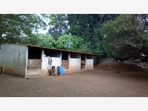 Terreno en venta en San Francisco Tutla, Santa Lucía del Camino — foto 2 de 15