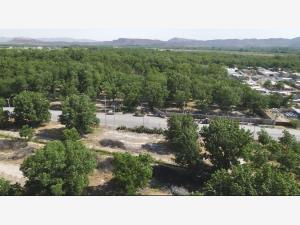 Terreno en venta en Del Marquez, Parras — foto 2 de 12