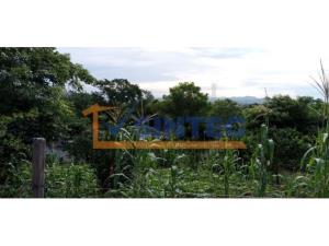 Terreno en venta en San Miguel Mecatepec, Tihuatlán — foto 2 de 7