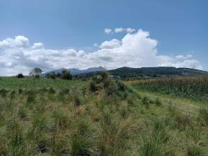 Terreno en venta en Santa Cruz Cuauhtenco, Zinacantepec — foto 2 de 4