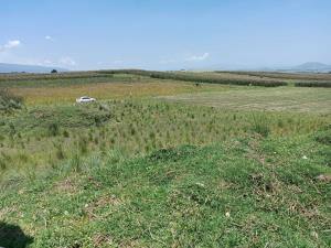 Terreno en venta en Santa Cruz Cuauhtenco, Zinacantepec — foto 3 de 4