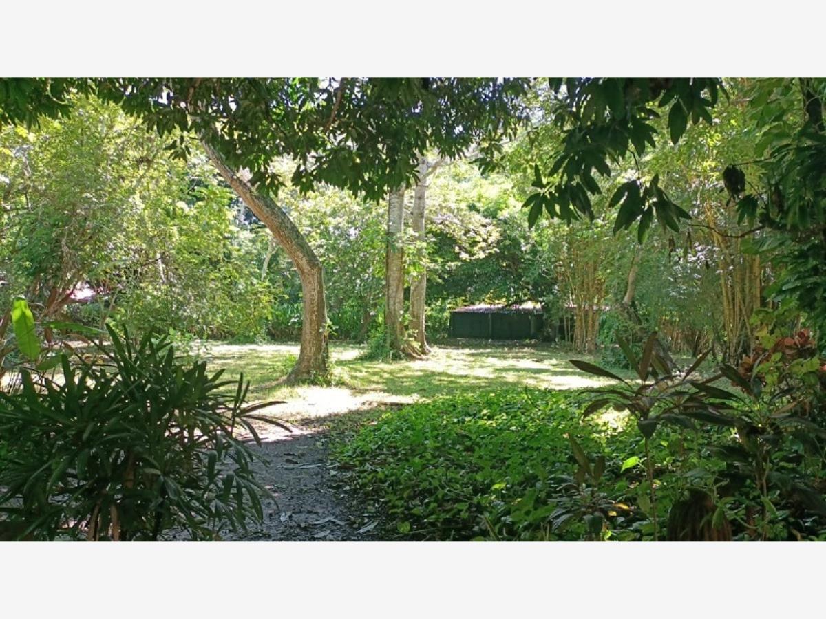 Terreno en venta en La Esperanza, Medellín de Bravo — foto 1 de 19