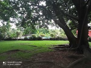 Terreno en venta en Lomas de Jiutepec, Jiutepec — foto 3 de 15