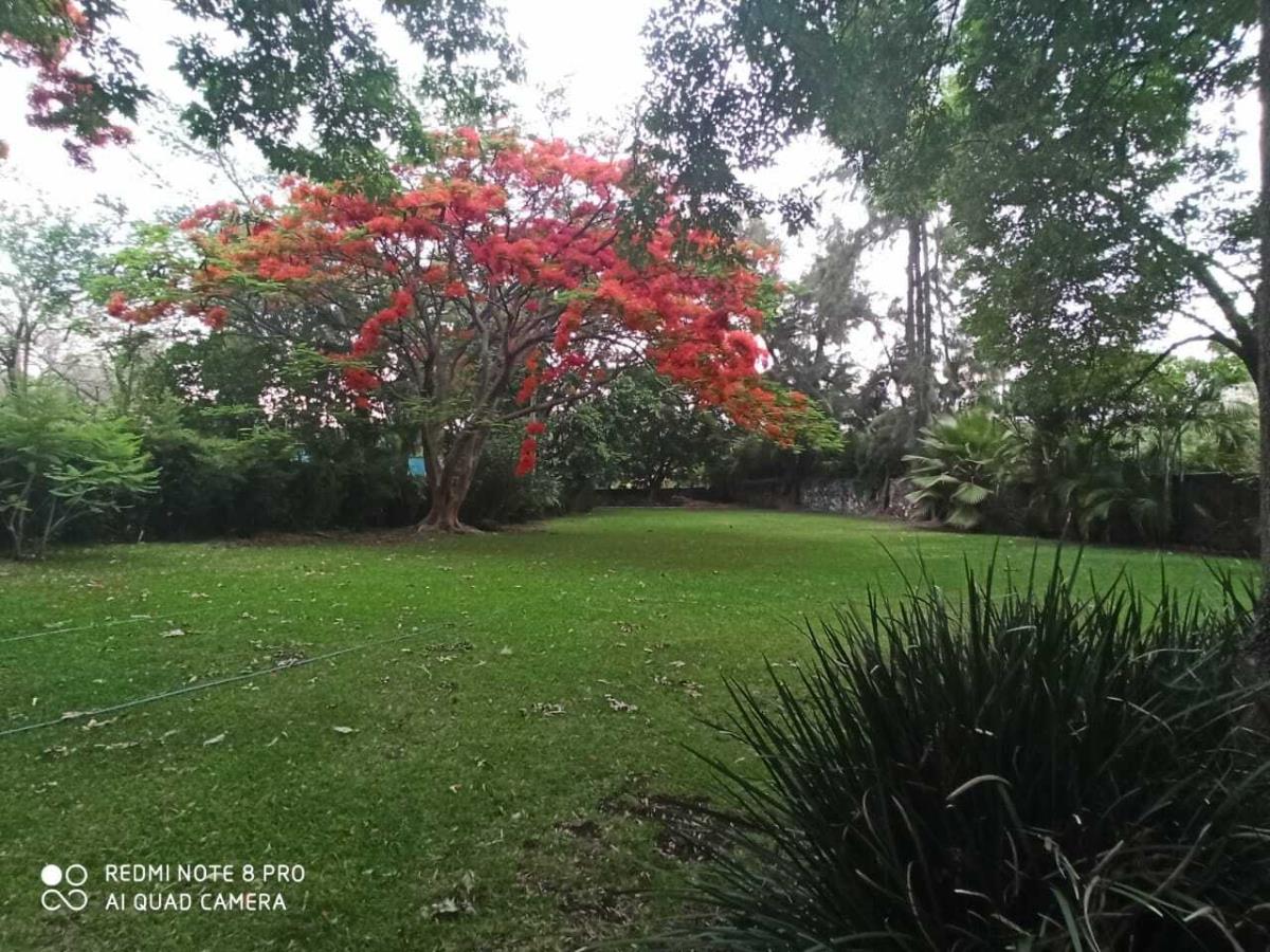 Terreno en venta en Lomas de Jiutepec, Jiutepec — foto 1 de 15