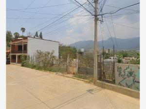 Terreno en venta en Guadalupe Victoria, Oaxaca de Juárez — foto 3 de 7