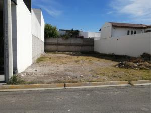 Terreno en venta en Residencial Frondoso, Torreón — foto 3 de 7
