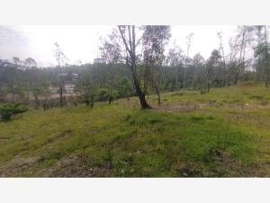 Terreno en venta en Lomas de La Campiña, Morelia — foto 3 de 25