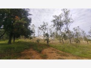 Terreno en venta en Lomas de La Campiña, Morelia — foto 2 de 25