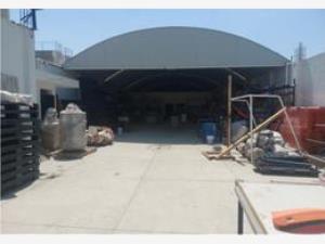 Bodega en venta en La Crespa, Toluca — foto 3 de 9