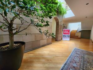 Casa en venta en Jardines del Pedregal, Álvaro Obregón, Ciudad de México