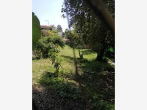 Terreno en venta en Vergeles de Oaxtepec, Yautepec — foto 2 de 11