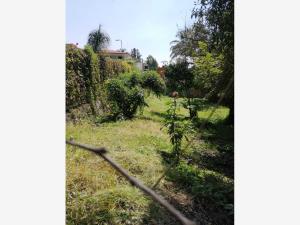 Terreno en venta en Vergeles de Oaxtepec, Yautepec — foto 3 de 11
