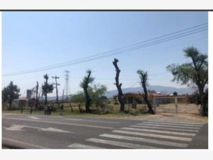 Terreno en venta en La Capilla del Refugio, Ixtlahuacán de los Membrillos — foto 3 de 5