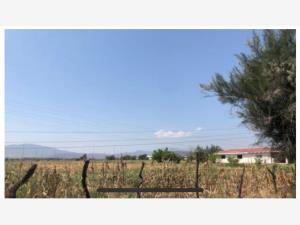 Terreno en venta en La Capilla del Refugio, Ixtlahuacán de los Membrillos — foto 2 de 5