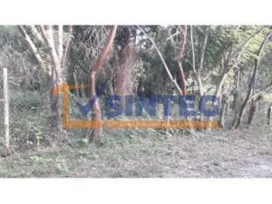 Terreno en venta en Primavera, Poza Rica de Hidalgo — foto 2 de 7