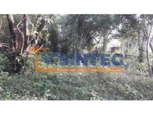 Terreno en venta en Primavera, Poza Rica de Hidalgo — foto 3 de 7