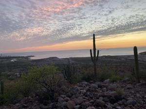 Terreno en venta en Puerto de Pichilingue, La Paz — foto 2 de 9