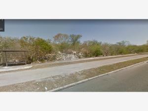 Terreno en venta en Ciudad Caucel, Mérida — foto 3 de 7