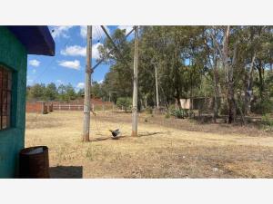 Terreno en venta en Jesus del Monte, Morelia — foto 2 de 17