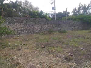 Terreno en venta en Tamoanchan, Jiutepec — foto 2 de 9