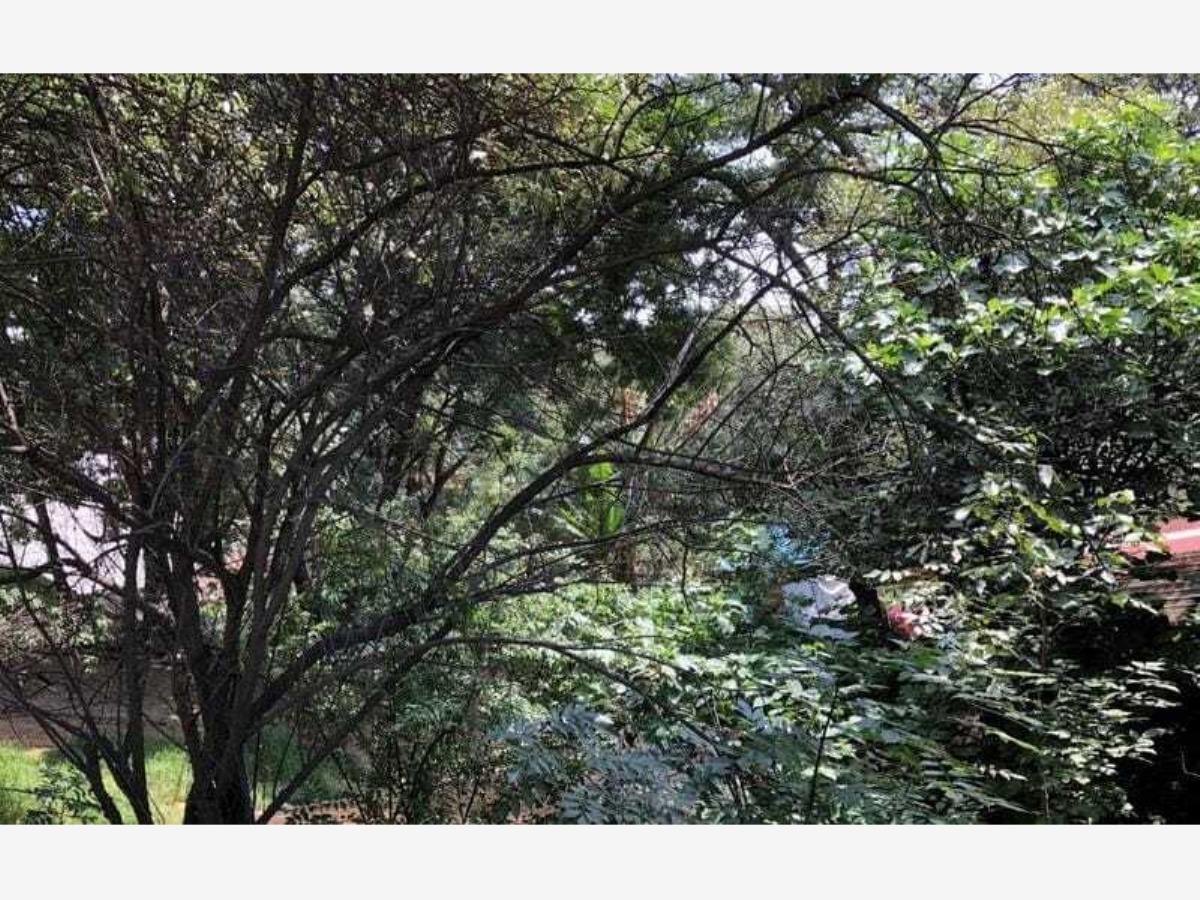 Terreno en venta en Miguel Hidalgo 3A Sección, Tlalpan — foto 1 de 3