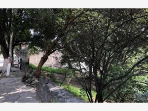 Terreno en venta en Miguel Hidalgo 3A Sección, Tlalpan — foto 2 de 3