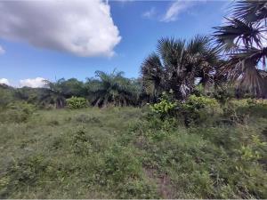 Terreno en venta en Anton Lizardo, Alvarado — foto 3 de 17
