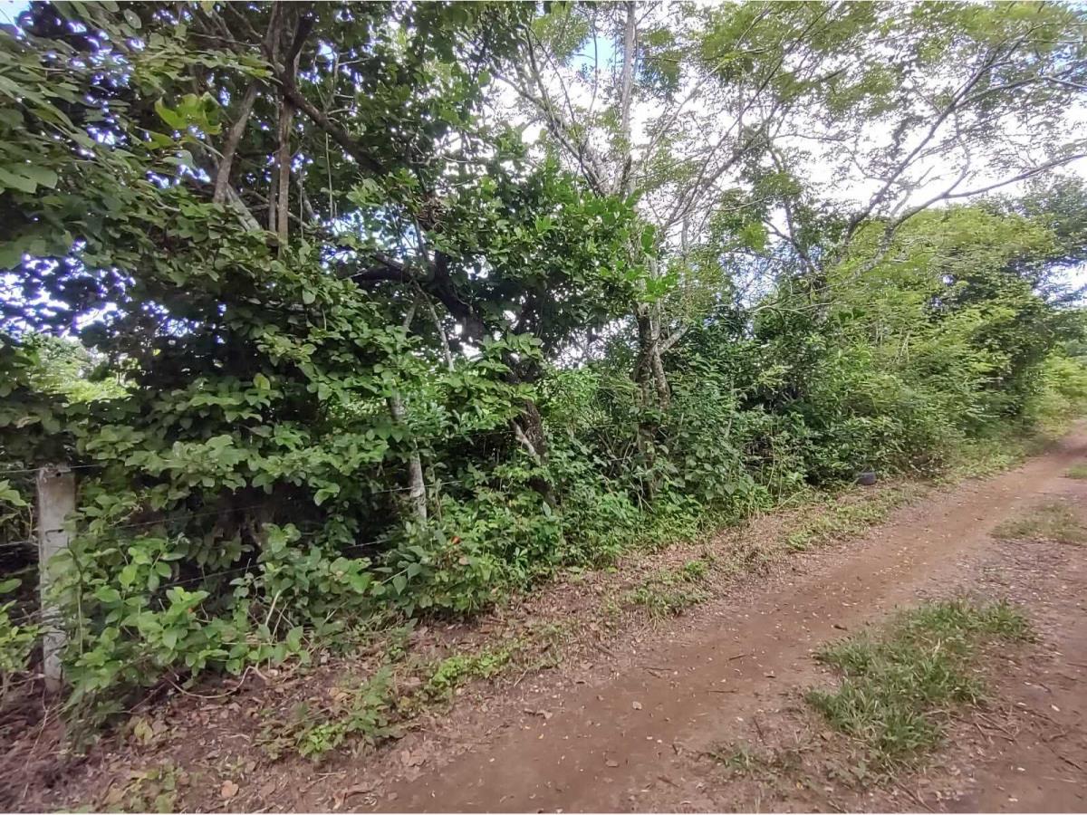 Terreno en venta en Anton Lizardo, Alvarado — foto 1 de 17