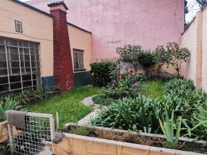 Casa en venta en Del Carmen, Coyoacán — foto 2 de 12