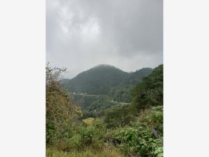 Terreno en venta en Piedra Grande, Pinal de Amoles, Querétaro