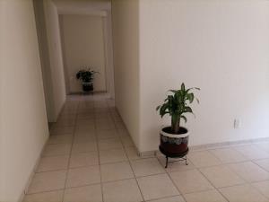 Departamento en venta en Haciendas de Coyoacán, Coyoacán — foto 3 de 21