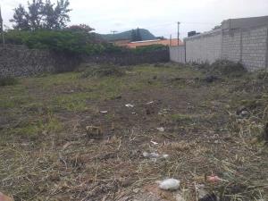 Terreno en venta en Tamoanchan, Jiutepec — foto 2 de 11