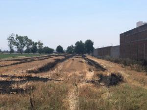 Terreno en venta en San Jose de Guanajuato, Celaya — foto 2 de 9