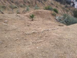 Terreno en venta en Burocrata Hipodromo, Tijuana — foto 3 de 28