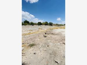 Terreno en renta en Valle Verde, Torreón, Coahuila de Zaragoza Terreno en renta en Valle Verde, Torreón, Coahuila de Zaragoza
