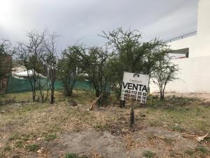 Terreno en venta en Villas de Irapuato, Irapuato — foto 3 de 19