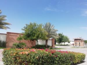 Terreno en venta en El Cardenchal, Torreón — foto 2 de 12
