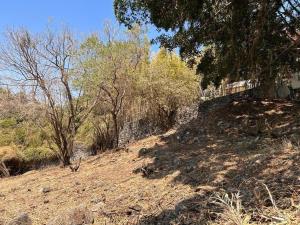 Terreno en venta en El Palmar, Cuernavaca — foto 2 de 6
